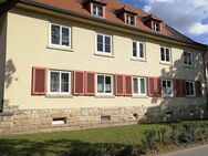 Wohnen im Grünen - gemütliche Einraumwohnung in ruhiger Lage - Pirna