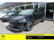 Opel Grandland INNOVATION 1.2 Turbo EU6d-T Innovation Kamera Navi AHK AHK-abnehmbar LED Kurvenlicht - Niederahr