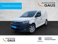 VW Caddy, 2.0 TDI Cargo Maxi Basis, Jahr 2021 - Bielefeld