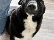 ENYA Wer verliebt sich? - Koblenz