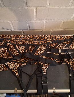 Damen Leoparden Set XL - Marl Zentrum