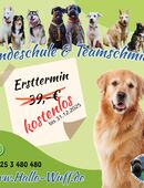 Hundeschule Hundtraining Ersttermin für Neukunden in 66809
