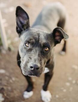 Zauberhafte, liebe Luna - Kallmünz