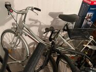 Kettler Alu-Rad Damen - Raubling