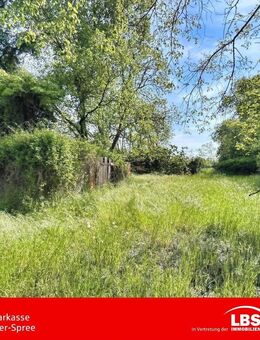 Dem Alltag entfliehen mit Luft und Ruhe! - Letschin