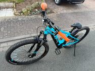 E MTB Cube Reaction Hybrid pro 625, Räder 29 Zoll, Rahmengröße M, nur 400km Laufleistung, neuwertiger Zustand - Hespe