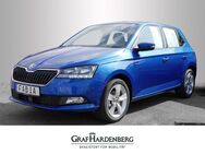 Skoda Fabia, 1.0 TSI Cool Plus, Jahr 2021 - Radolfzell (Bodensee)