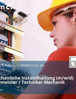 Leiter mechanische Instandhaltung (m/w/d) - Industriemeister / Techniker Mechanik - Rosengarten (Baden-Württemberg)