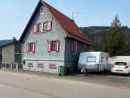 Gepflegtes EFH als Kapitalanlage oder zum selbst bewohnen - Wald-Michelbach