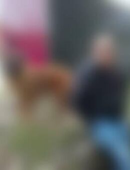 Dan*** - Heiligenhafen