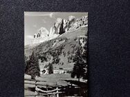 Ansichtskarte-V-327-Dolomiti-Karerpass. Albergo Savoia - Nörvenich