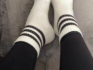 Getragene Socken/Fußdates💋 - Husum (Schleswig-Holstein)