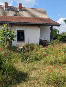 Idyllisch gelegenes Bauernhaus. Perfekt als Wochenend- oder Sommerhaus. - Könnern