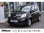 Fiat Panda, 1.0 Hybrid GSE 2024 CITY LANE, Jahr 2024 - Pohlheim