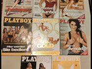 Playboy Jahressatz 2004 - Dresden