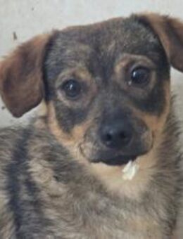 Kecks - unser kleiner Superheld - München