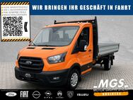 Ford Transit, 350 L3 EK #DREISEITENKIPPER #GANZJAHRES #, Jahr 2024 - Weiden (Oberpfalz)