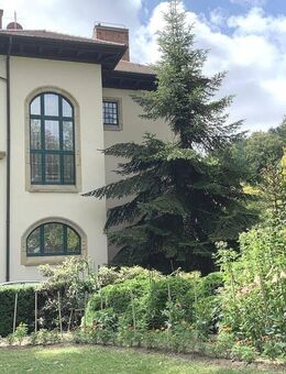 Außergewöhnliche Gründerzeit-Villa - Waldheim