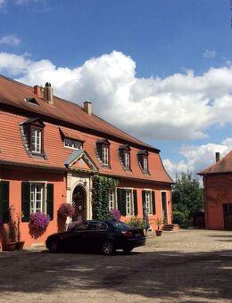 gemütliche 2-Zimmer-Wohnung mit Gartenblick auf den Niederwürzbacher Weiher – ab 01.03.2026 frei - Blieskastel