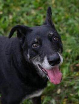 MIKY - Gemeinsamkeit täglich genießen - Overath