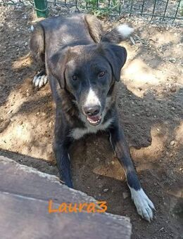 Laura3 sanftes Mädchen 06/19 GRC - Ruppertsecken