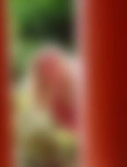 Cor*** - Bornheim (Nordrhein-Westfalen)