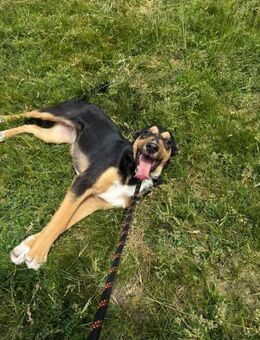 LILLY ein fröhliches soziales Mädchen♥️ - München