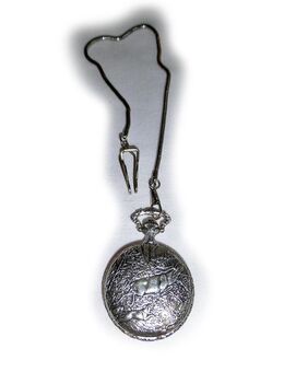 Jagd Taschenuhr von Bergland - Nürnberg