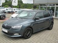 Skoda Fabia, 1.0 TSI Ambition Ambition 5trg, Jahr 2021 - Heideck