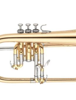 Yamaha YFH 631G Flügelhorn. Goldmessing inkl. Koffer. Neuware - Hagenburg