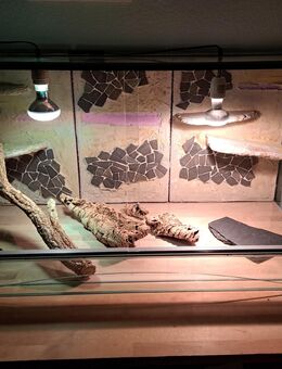 Terrarium 120x60x60cm - Hamburg