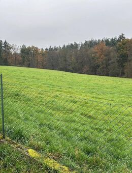 Mehrfamilienhaus mit 3 Wohneinheiten zu verkaufen - Eggenfelden