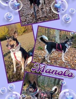 Manolo- auf PS in München! - Nürnberg