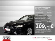 Audi A4, Avant 35 TFSI advanced VC, Jahr 2023 - Melle