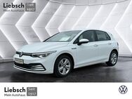 VW Golf, 2.0 TDI VIII Life First Edition AP, Jahr 2021 - Lübben (Spreewald)