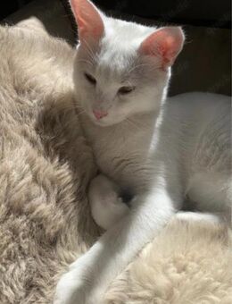 Geschwister Frieda und Mona - Margetshöchheim