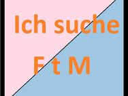 Ich suche eine FtM, Köln + 50 Km - Köln