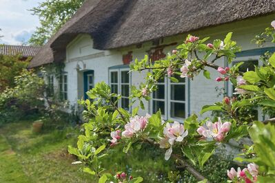 Charmantes Angeliter Landhaus unter Reet, malerisch zwischen Feldern gelegen