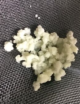 Milchkefirpilz zum Herstellen von eigenem Kefir - Rüsselsheim