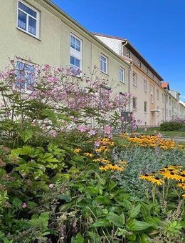 Wohnen in der Brockenstraße - bezugsfertige 2-Raum-Wohnung - Oschersleben (Bode)