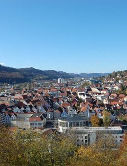 Gepflegte 3 ½ Zimmer-Terrassenwohnung in schöner unverbaubarer Lage am Schloßberg in Albstadt-Ebingen - Albstadt
