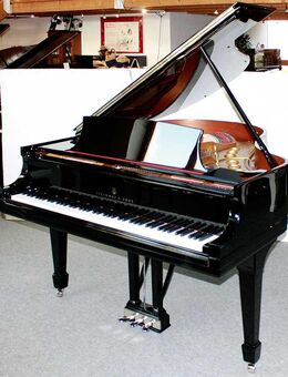 Flügel Klavier Steinway & Sons M-170, schwarz poliert, Nr. 216916, 5 Jahre Garantie - Egestorf
