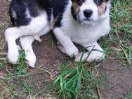 Nyla sucht ihre Familie - Berlin