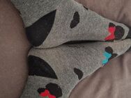 Verspielt & Kuschelig – Mickey Magic 🐭✨" Beschreibung: "Graue Mickey-Maus-Socken – süß, cozy und perfekt für verspielte Füßchen. Lust auf mehr? 😉🧦" - Schwalmstadt Zentrum