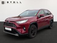 Toyota RAV 4, 2.5 VVT-i Hybrid Team D, Jahr 2020 - Rickenbach