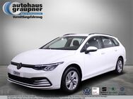 VW Golf Variant, 2.0 TDI Golf VIII Life, Jahr 2024 - Brandis