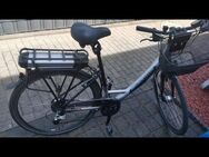 Morisson e-bike top Zustand - Bergkamen