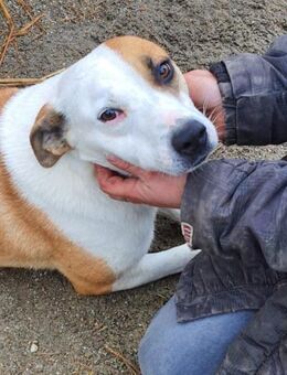 Monja 50 cm - Alpenrod