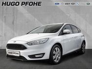 Ford Focus, Business Edition System Limousi, Jahr 2016 - Schwerin