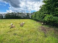 Im Grünen wohnen am Rande der Stadt - Hopsten